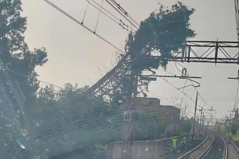 Albero sulla linea ferroviaria. <span>Foto Staff sindaco </span>