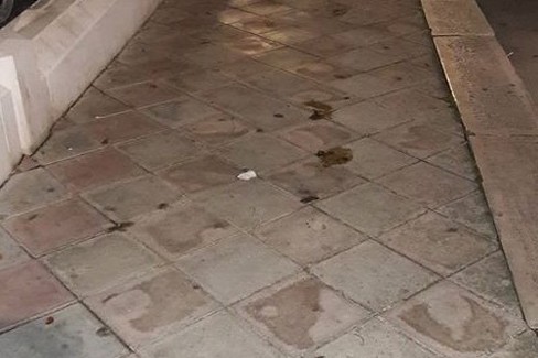 Escrementi sul marciapiede