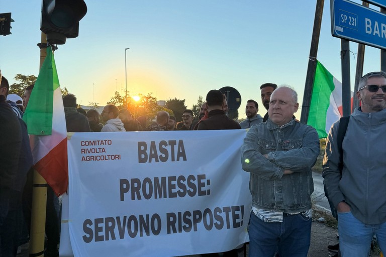 Protesta olivicoltori