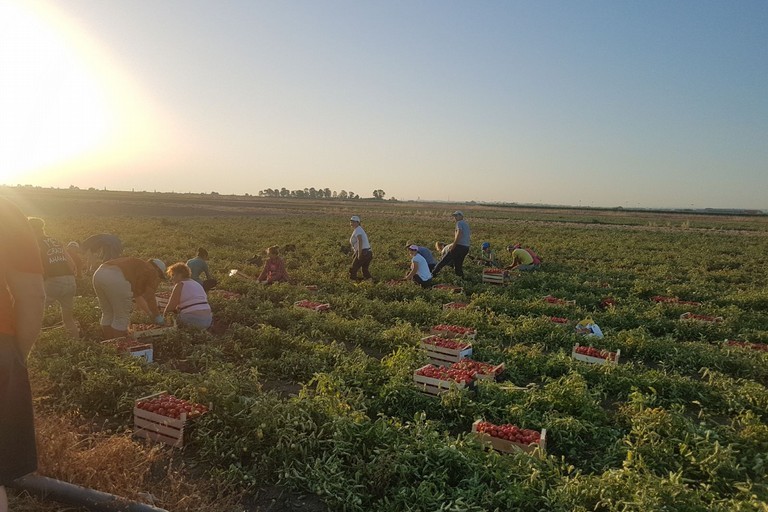 Agricoltura