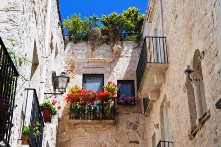 Balconi fioriti nel centro storico. <span>Foto GiovinazzoBorgoinFiore</span>