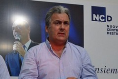 Allarme cinghiali, Stea: «La Giunta regionale ignora i pericoli»