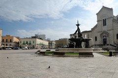 Estate Giovinazzese, la cooperativa Aurora si difende