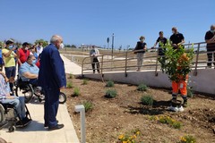 Un alberello nella sede del Consiglio regionale della Puglia per ricordare Pino Tulipani