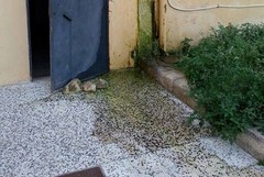 Acqua dispersa sul campo Marconi