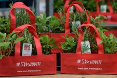 I volontari AISM in piazza a Giovinazzo