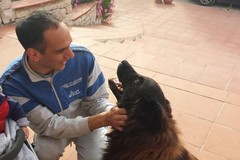 A Giovinazzo torna il Trofeo Puglia di marcia "Domenico De Ceglia"