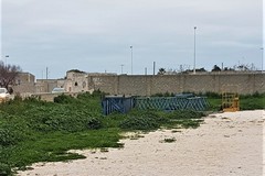 Vita nuova a Levante? Depalma ne è certo