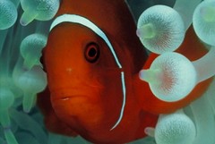 I mari del mondo in una mostra fotografica
