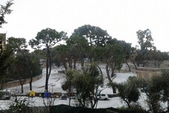 Neve nei dintorni, Giovinazzo si salva