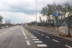 Ciclovia, il Comitato "Per la Salute Pubblica" contro Depalma