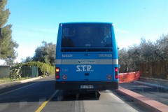 Stp, in arrivo 33 nuovi pullman