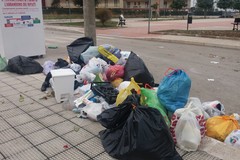 Oggi va in scena l'ecomaratona "Piantala! Fai la differenziata!"