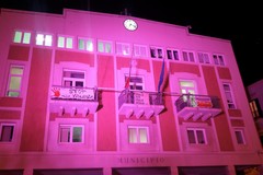 Lilla, il colore della solidarietà
