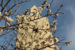 Meteo Pasqua e Pasquetta