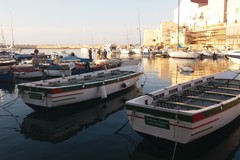 In Cala Porto c'è la Festa del Mare con la Sagra del pesce fritto