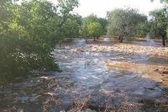 Puglia martoriata dal maltempo, la CIA chiede attenzione al Governo