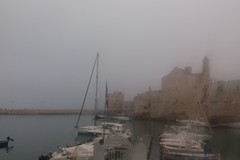 Nebbia su Giovinazzo: LA FOTO suggestiva del porticciolo