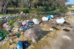 Rifiuti abbandonati nel Barese: 86 denunce e 32 patenti sospese nel primo semestre 2026