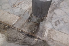 Giovinazzo orinatoio pubblico per cani (FOTO)