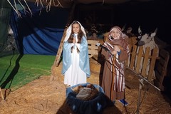 Sant'Agostino: sorrisi, qualche lacrima e tanti applausi per il presepe vivente dei bimbi