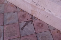 Urinatoio canino in piazza Garibaldi: residenti esasperati