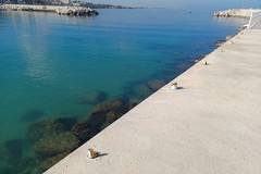 Balaustra a Levante, in primavera sarà ripristinata