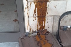 Escrementi sui mastelli: ennesima vergogna in via Marconi