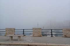 Nebbia a Giovinazzo, un inizio d'anno inaspettato - FOTO
