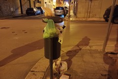 Rifiuti abbandonati tra via Dogali e via Magenta