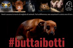 "Buttiamo via i botti", l'appello di PrimaVera Alternativa