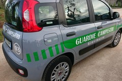Pistola in pugno rapina agricoltore e gli porta via la motosega