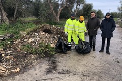 Iniziata la pulizia dai rifiuti dell'agro di Giovinazzo