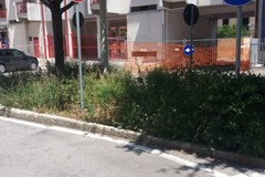 Via Imbriani, sos dagli edifici popolari: «Qui si lascia tutto a metà»