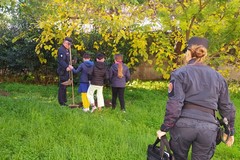Giornata dell'albero, alla "San Giovanni Bosco" arrivano i Carabinieri Forestali
