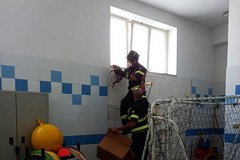 Micio incastrato in una finestra. Arrivano i Vigili del Fuoco alla "San Giovanni Bosco"