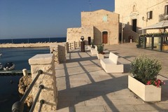 "I casi dell'avvocato Guerrieri", anche nella seconda puntata Giovinazzo bellissima su Rai 1