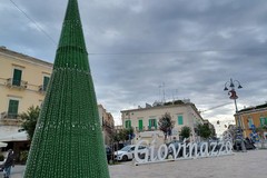 Stasera l'accensione dell'Albero di Natale Megamark in piazza Vittorio Emanuele II