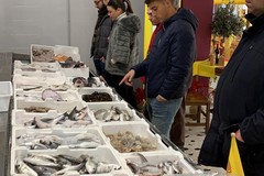 Coldiretti -Impresapesca Puglia: Capodanno a base di pesce, ma 8 su 10 sono stranieri