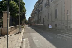 Alberi tagliati in viale De Gaetano, spuntano messaggi per gli amministratori