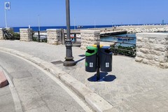 Disinfestazioni, pulizia, sicurezza e caldo: gli interventi del Comune di Giovinazzo
