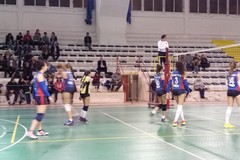 Progetto unitario Giovinazzo-Molfetta di volley rischia di saltare: ecco perché