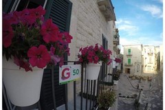 "Giovinazzo Borgo in fiore", parte l'edizione 2023 per rendere più bella la città