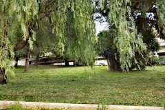 «Giovinazzo, a che punto siamo?»: PrimaVera Alternativa chiama a raccolta i cittadini il 31 luglio in Villa Comunale