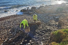 Iniziata la pulizia del litorale a Giovinazzo