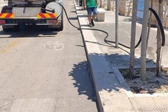 Piano irrigazione serrata: così l'amministrazione prova a combattere il caldo per le alberature giovinazzesi