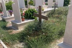 Sterpaglie ed erba alta: aree del cimitero di Giovinazzo in stato di degrado