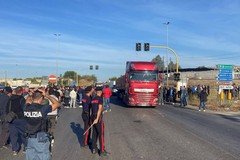 Protesta degli olivicoltori, PrimaVera Alternativa al loro fianco