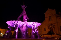La Fontana dei Tritoni si tinge di rosa: l'immagine di Giovinazzo fa il giro...del mondo