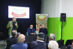 Crisi olivicola, confronto di spessore alla Cooperativa Olivicultori